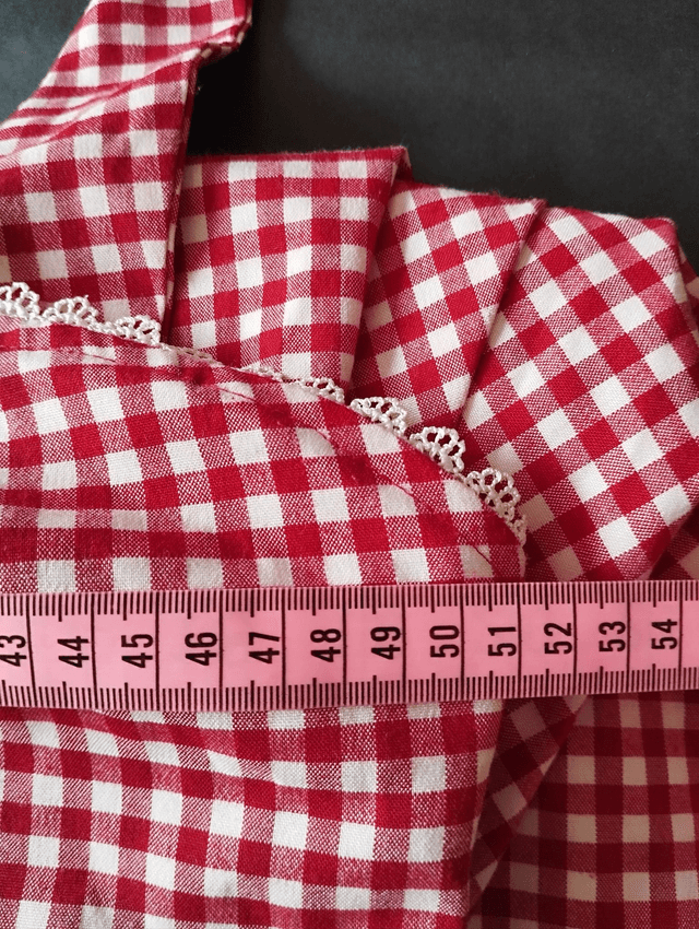 Robe Collectif Gretel Red Gingham T44