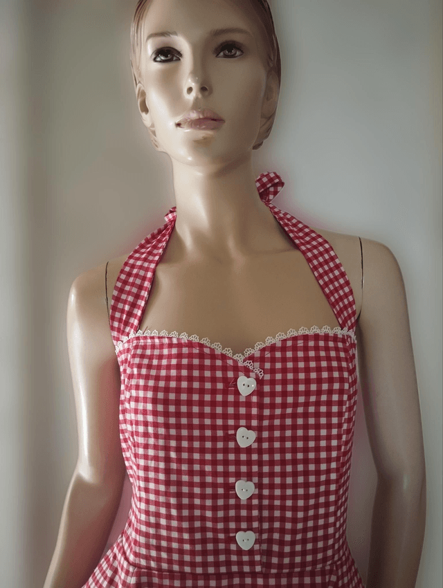 Robe Collectif Gretel Red Gingham T44