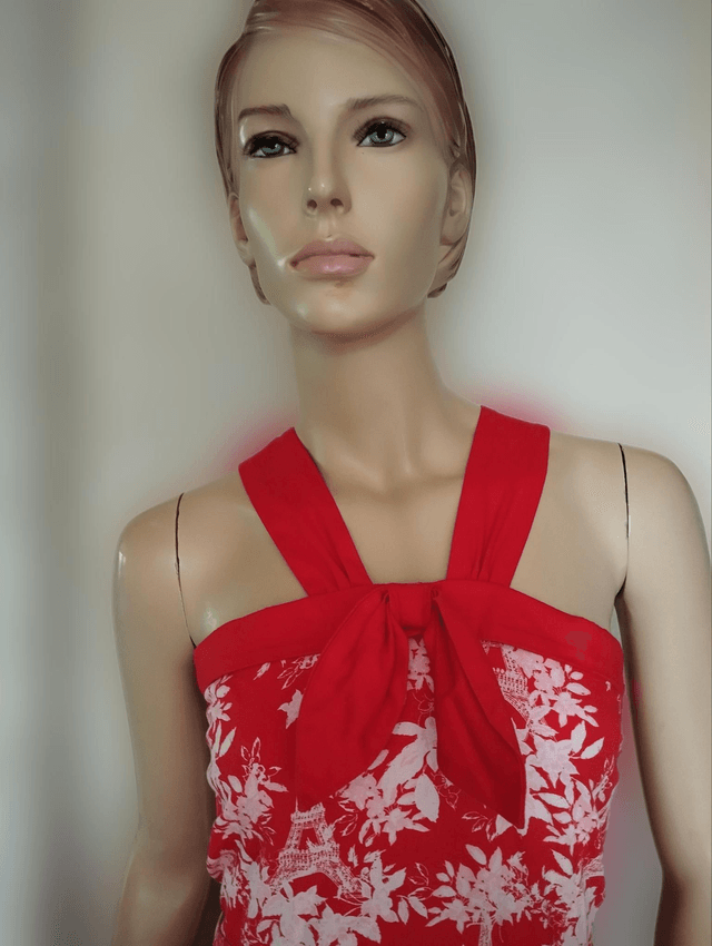 Robe Lindy Bop Bailee Eifeel Floral Red T44