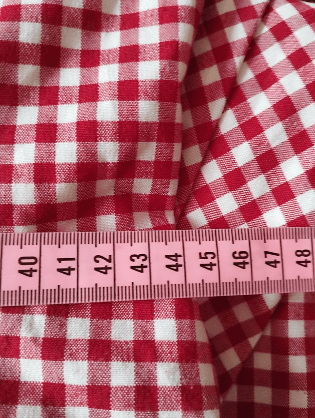 Robe Collectif Gretel Red Gingham T44