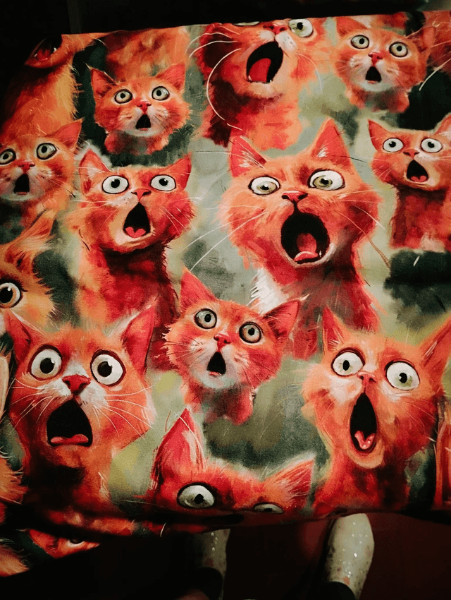 Tissu Jersey Chats surpris POUR COMMANDE 